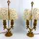 Pair of antique hot water bottle lamps in gilded bronze