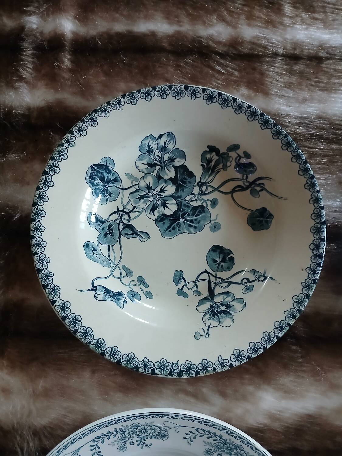 10 antique deep plates in ironstone