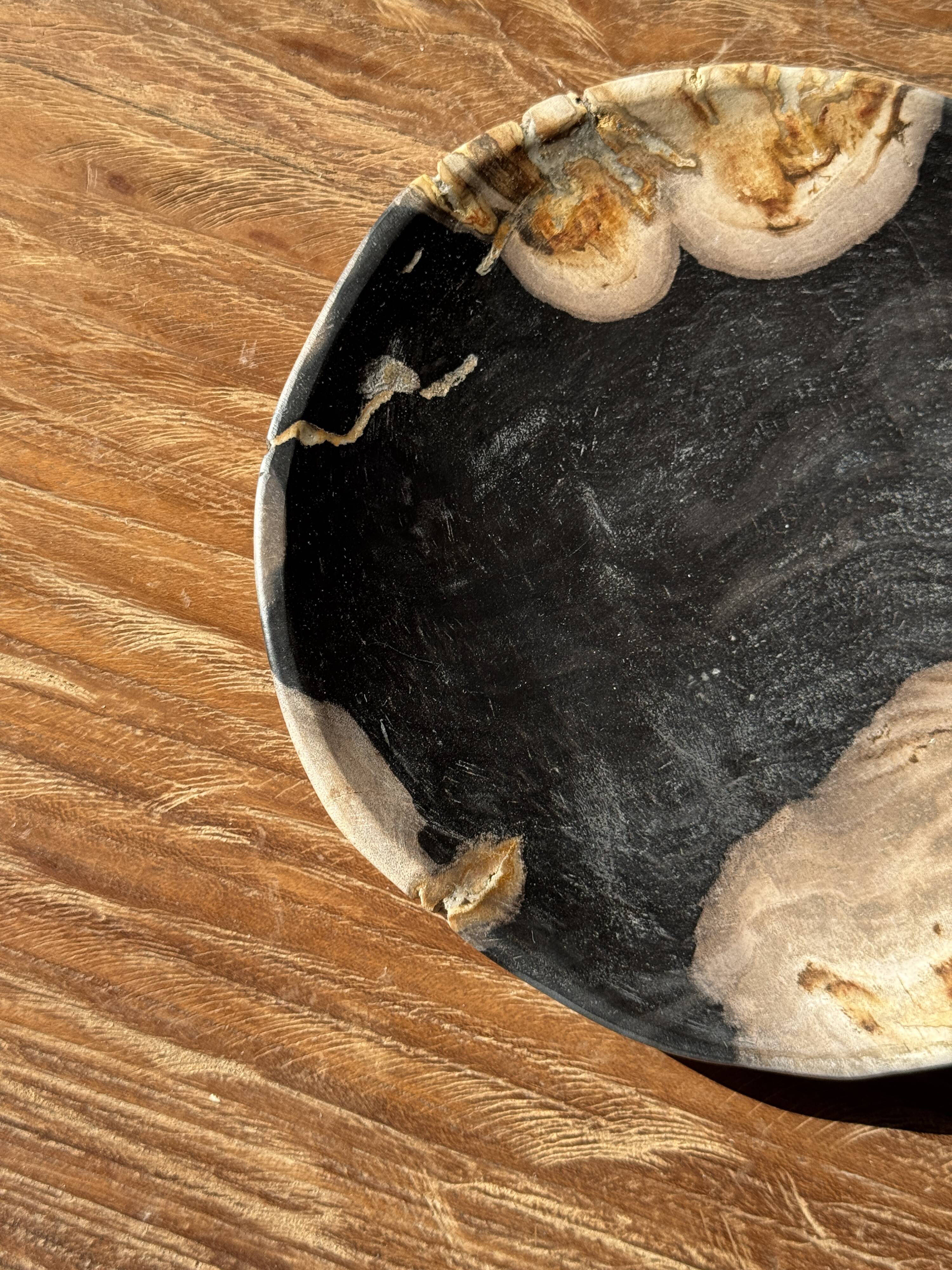 Small pocket tray or dish in black and beige petrified wood D20.5 -3317