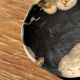 Small pocket tray or dish in black and beige petrified wood D20.5 -3317