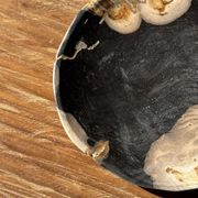 Small pocket tray or dish in black and beige petrified wood D20.5 -3317