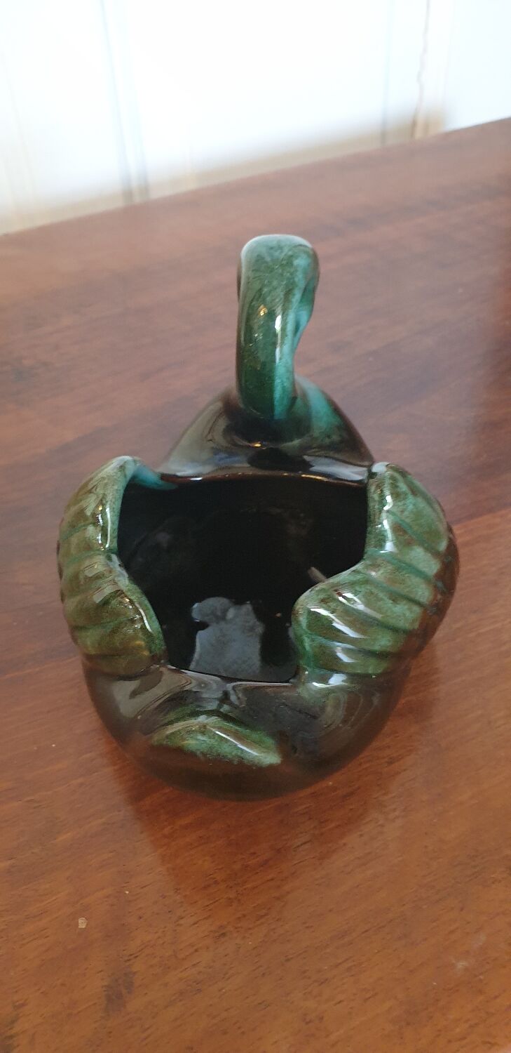 Empty pocket swan canada