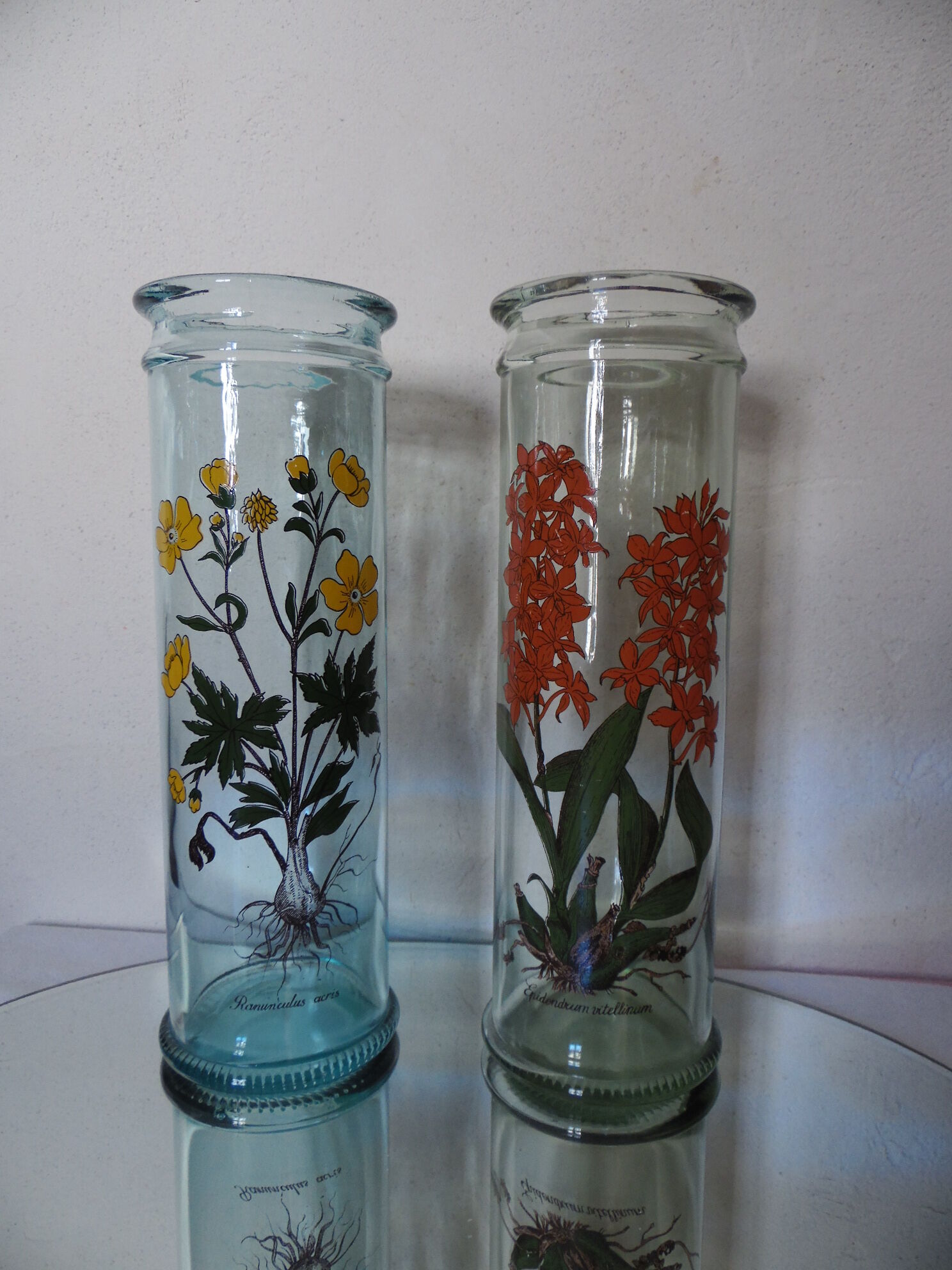 Bocal herboristerie "Epidendrum Vitellinum" en verre décoré et capuchon liège
