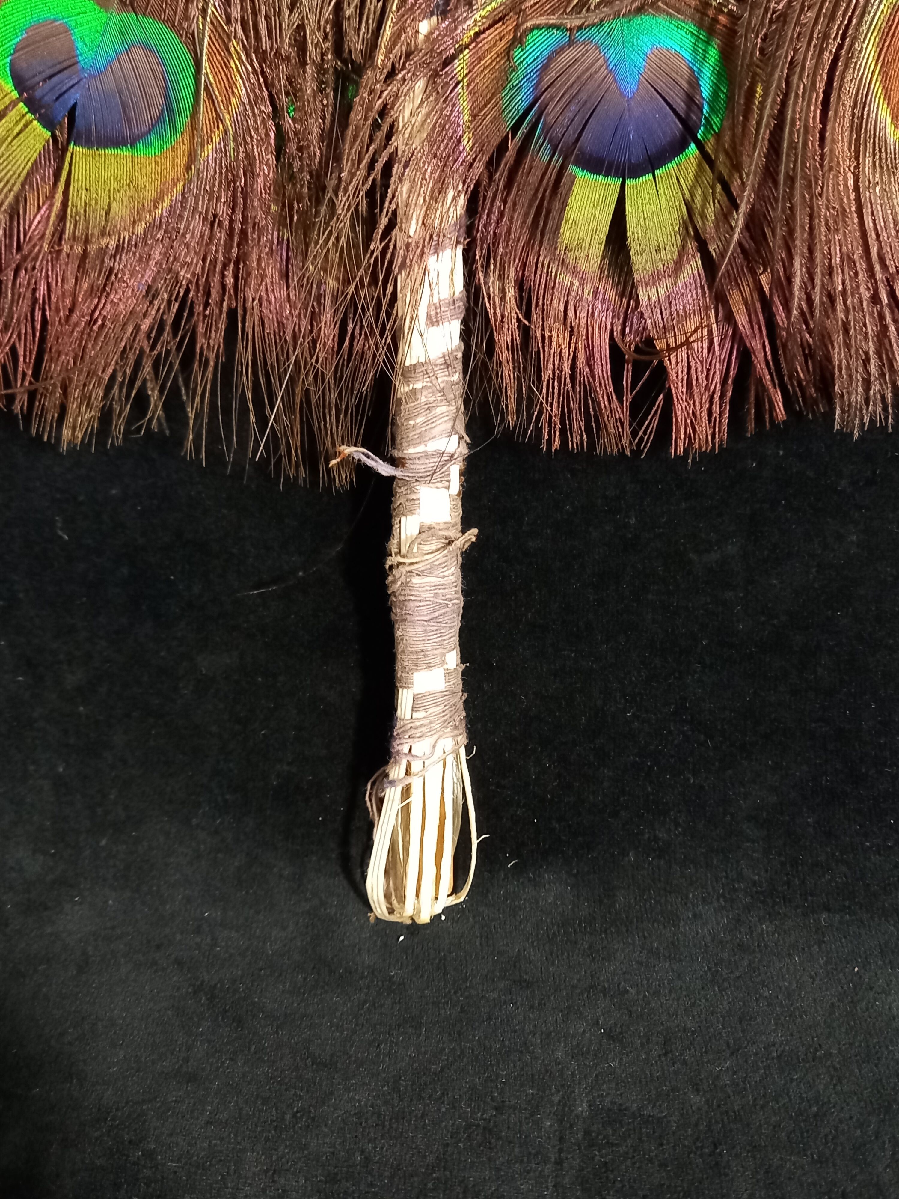 Double-sided peacock feathered eventail