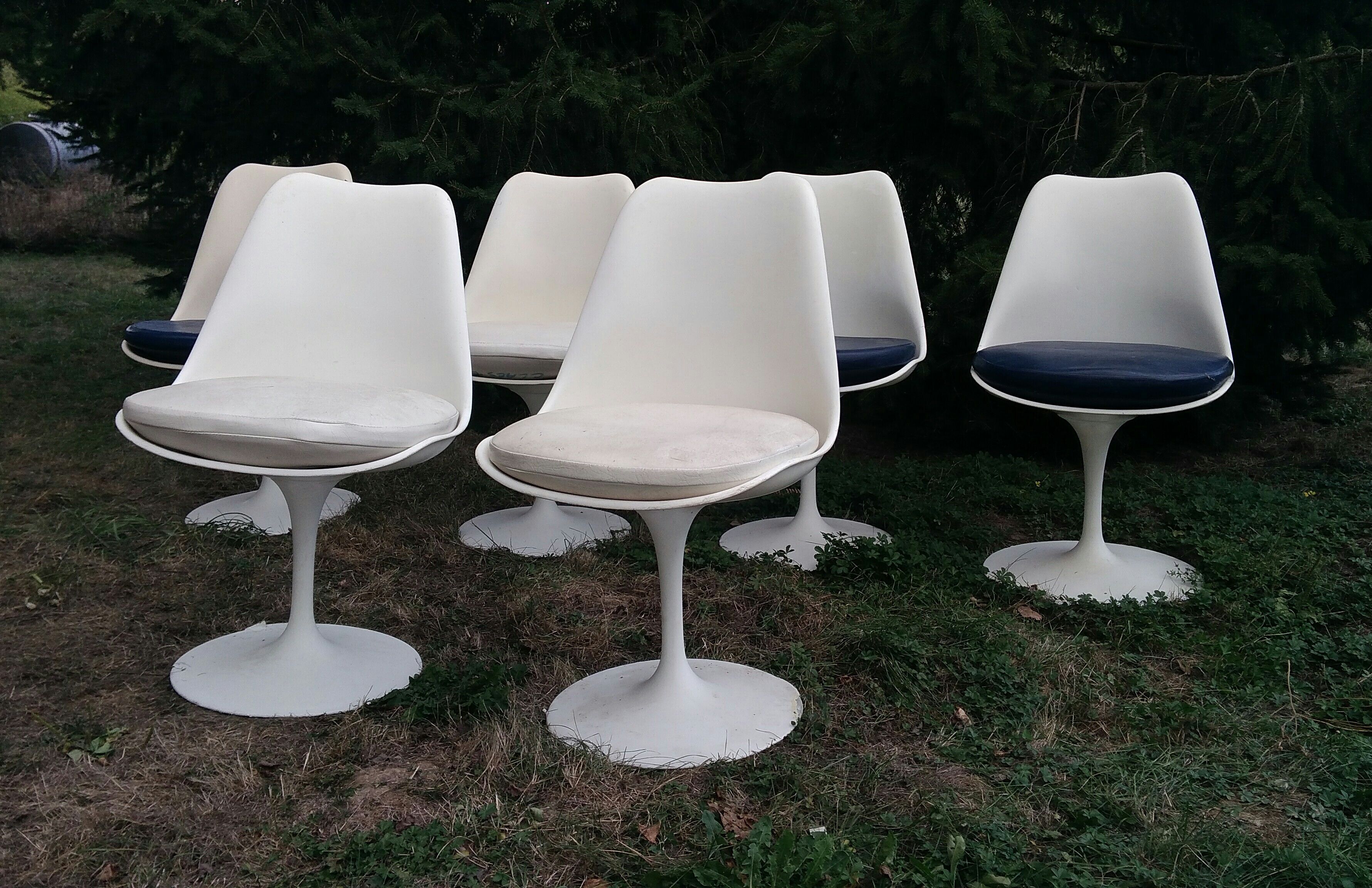 Set of six chairs by Eero Saarinen for Knoll