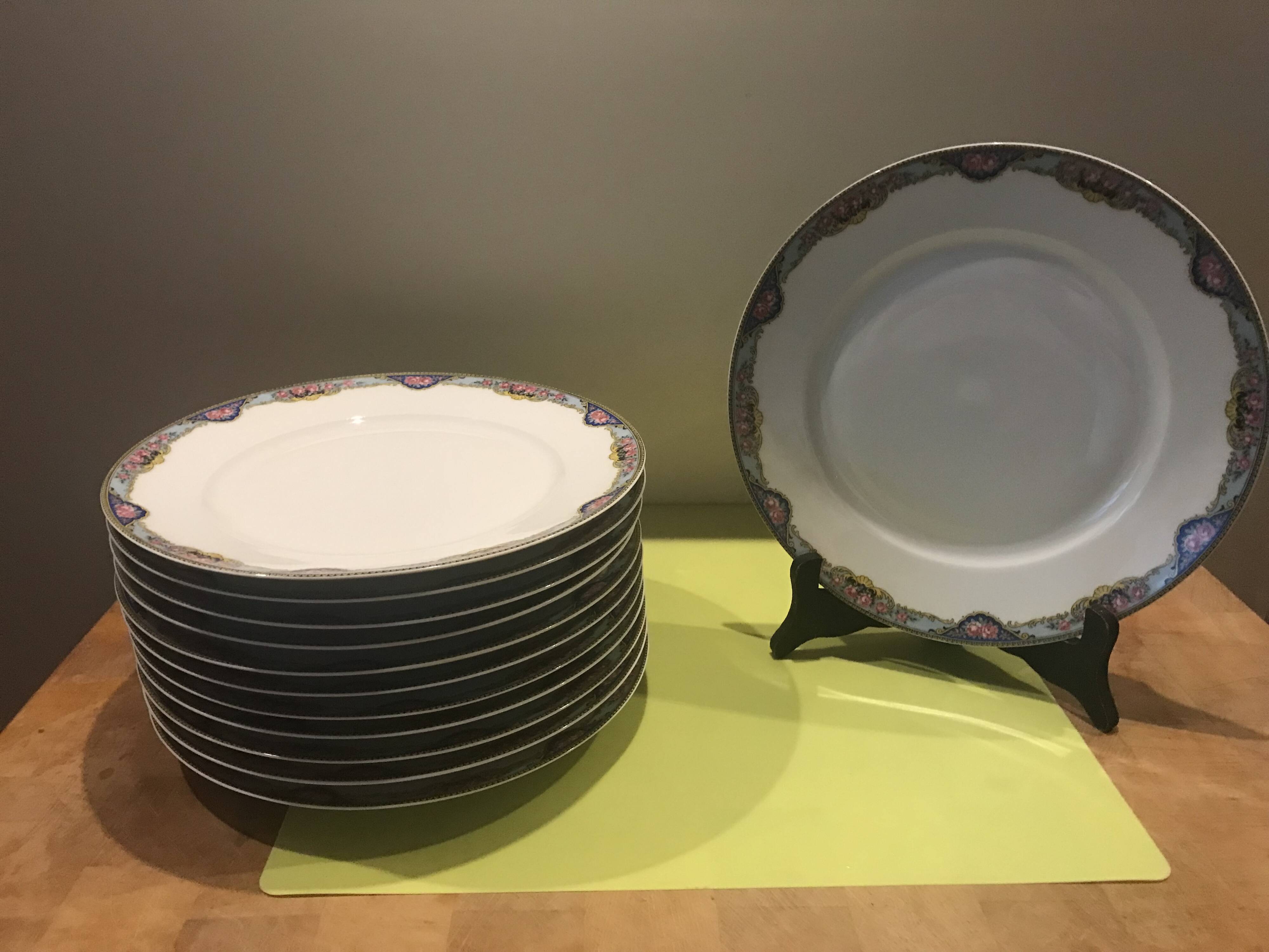 12 flat plates Havilland
