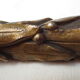 old bronze curved pediment