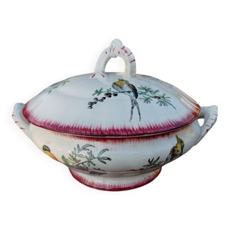 Vegetable birds Choisy-le-Roi