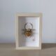 Hand-embroidered insect artwork (unique piece)