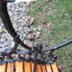 Old garden bench with vintage cast iron legs xxeme