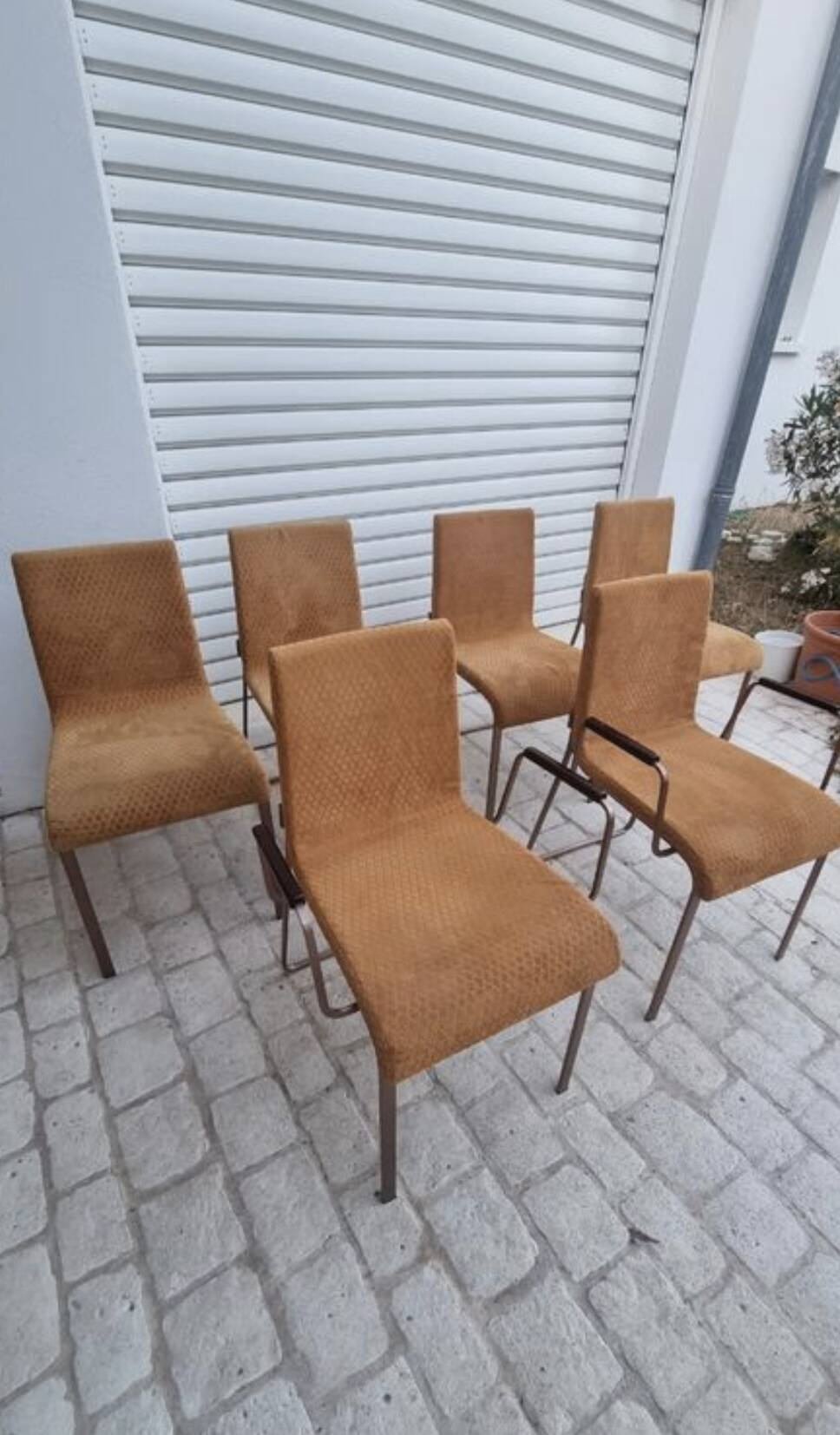 Set of 6 velvet chairs and armchairs