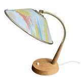 Temde desklamp 1960s with flexible gooseneck