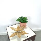 Floral Willy Daro wandlamp Massive België