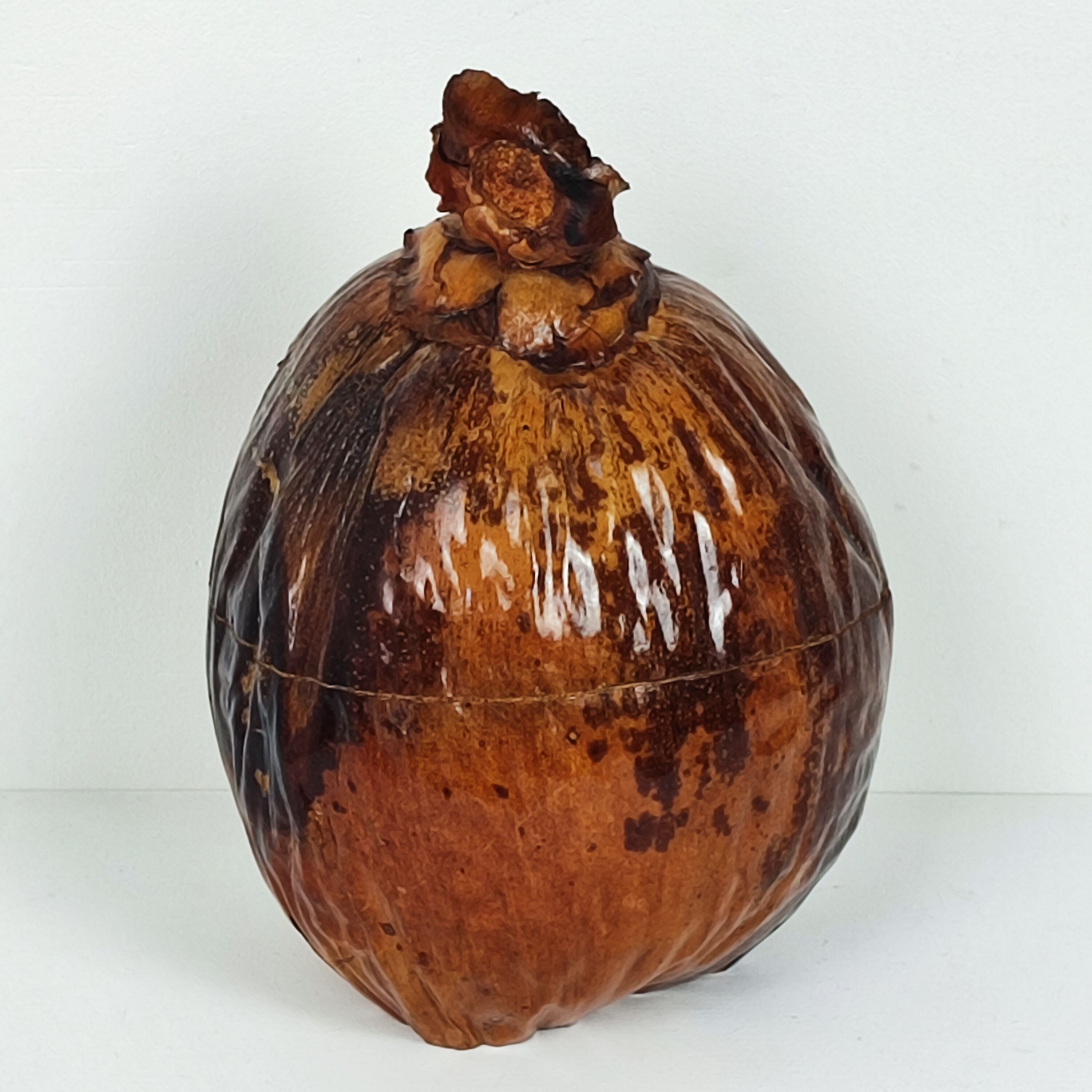 Seau à glaçons noix de coco