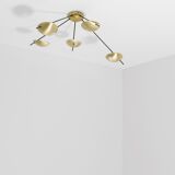 Quinque II Helios Collection