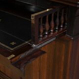 Small Rosewood Display Cabinet – Part 2 of the 19th Century