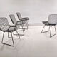 Lot of 4 chairs by Harry Bertoia 80/90