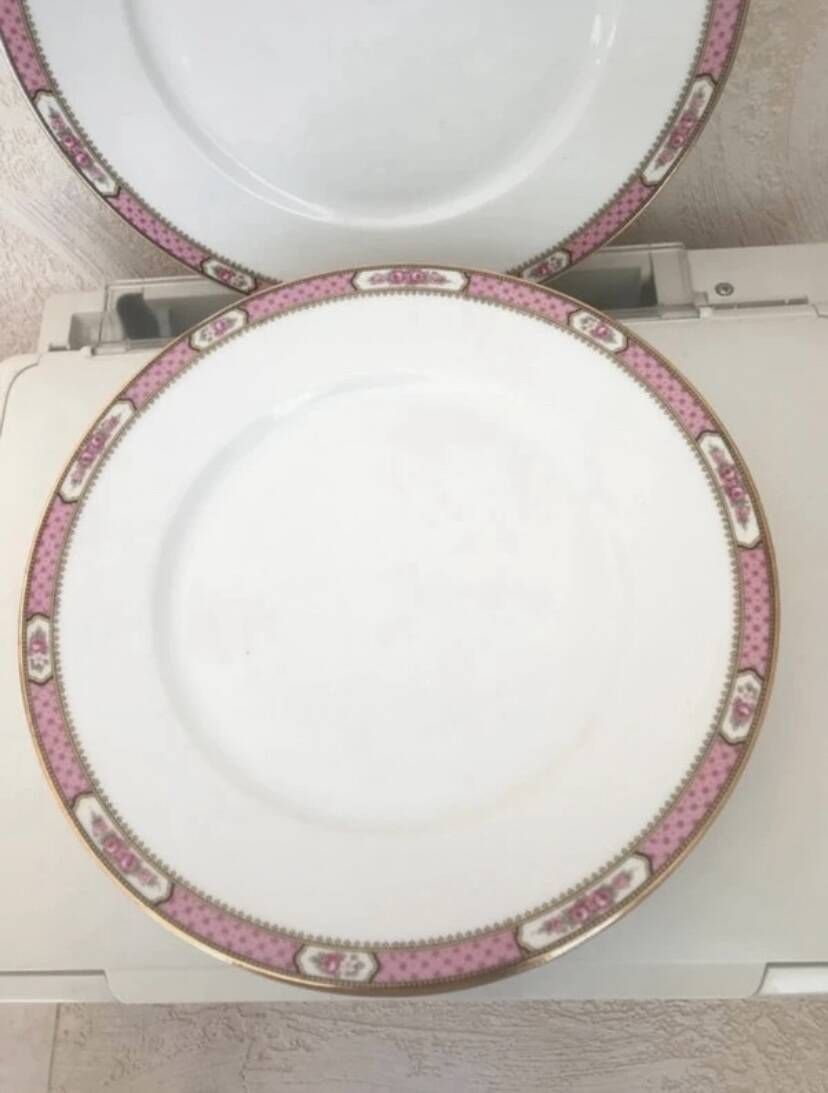 Flat plates Limoges