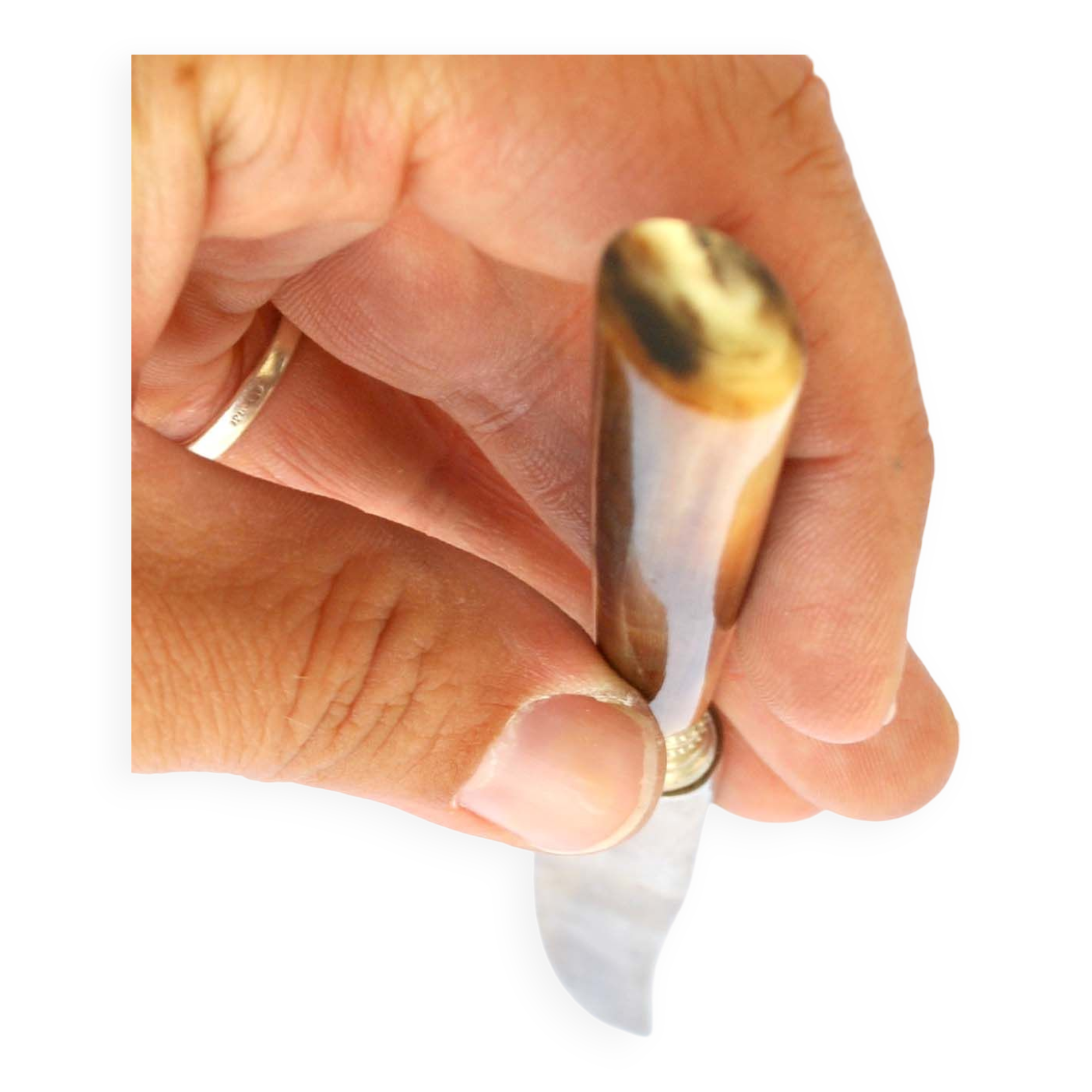 Set of 10 old knives in horn and steel 1920 dessert fruit