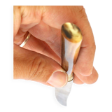 Set of 10 old knives in horn and steel 1920 dessert fruit