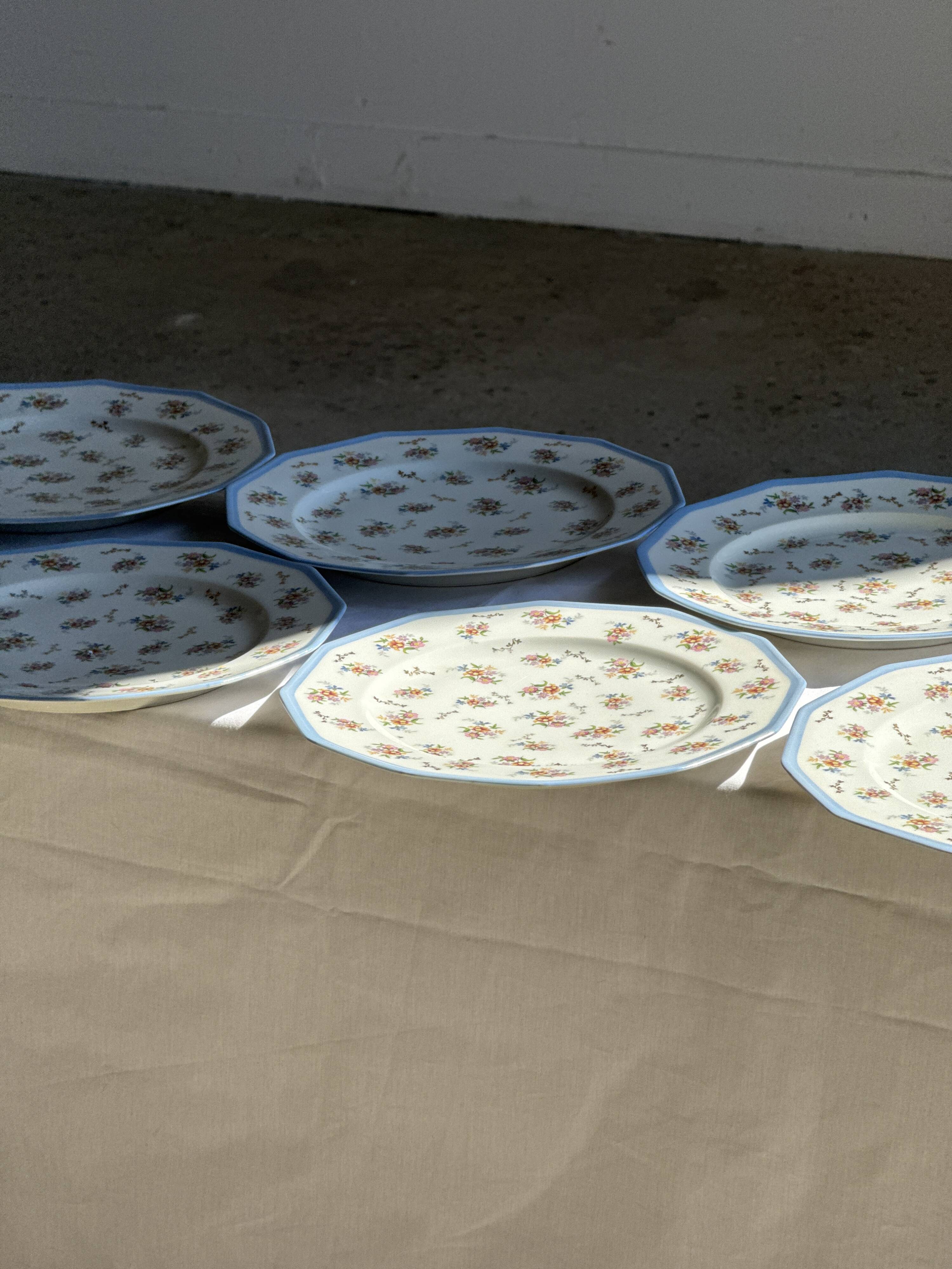 Set of 10 flat plates in Limoges porcelain from France with flowers.