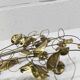 Pair of double flower bouquet sconces in brass 1960
