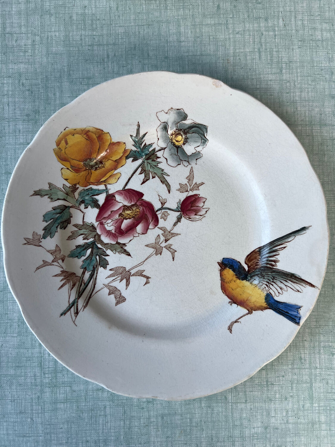 6 polychrome flat plates HB&Cie Choisy Le Roi
