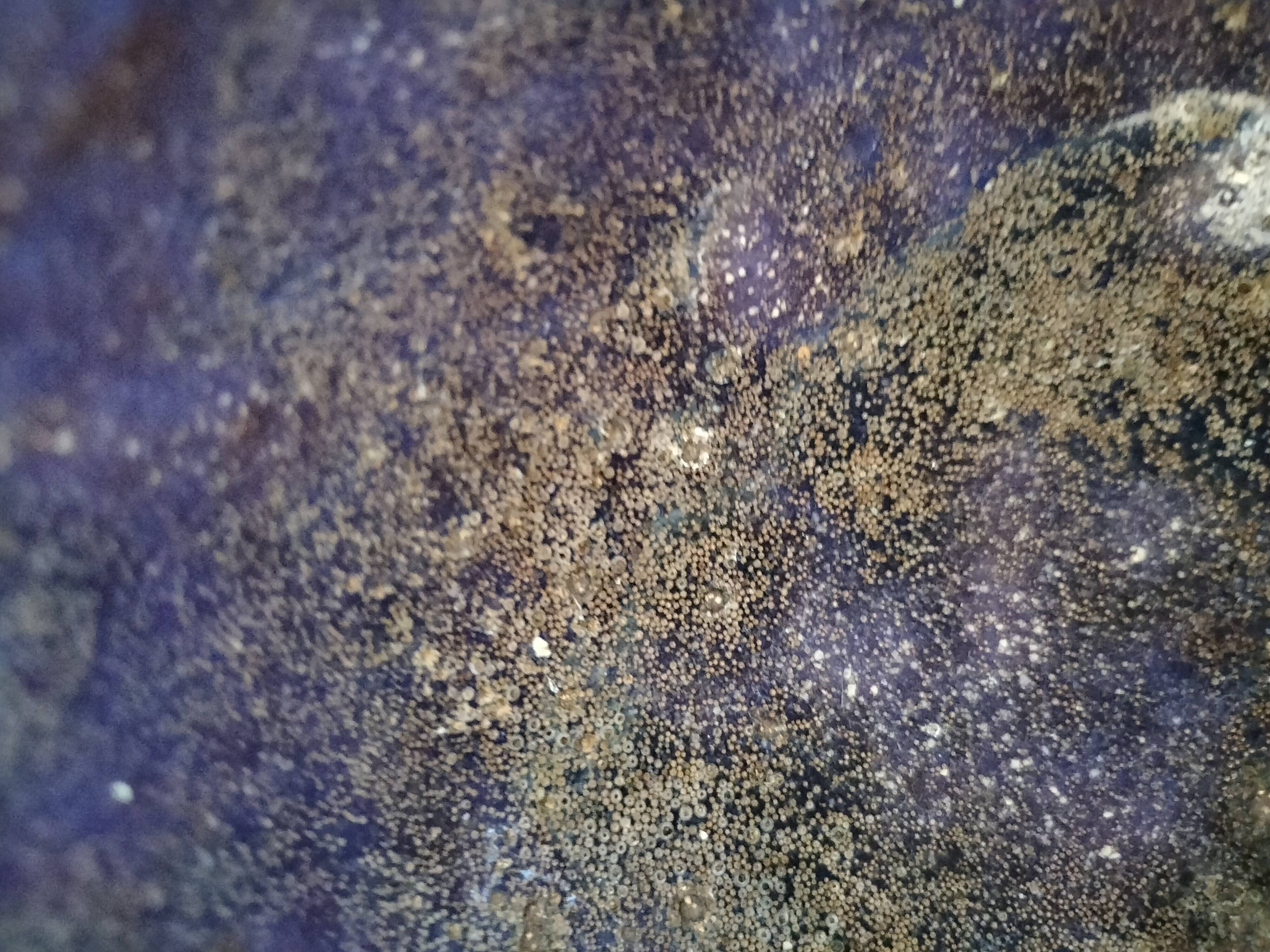 Set of 3 handmade ceramic bowls