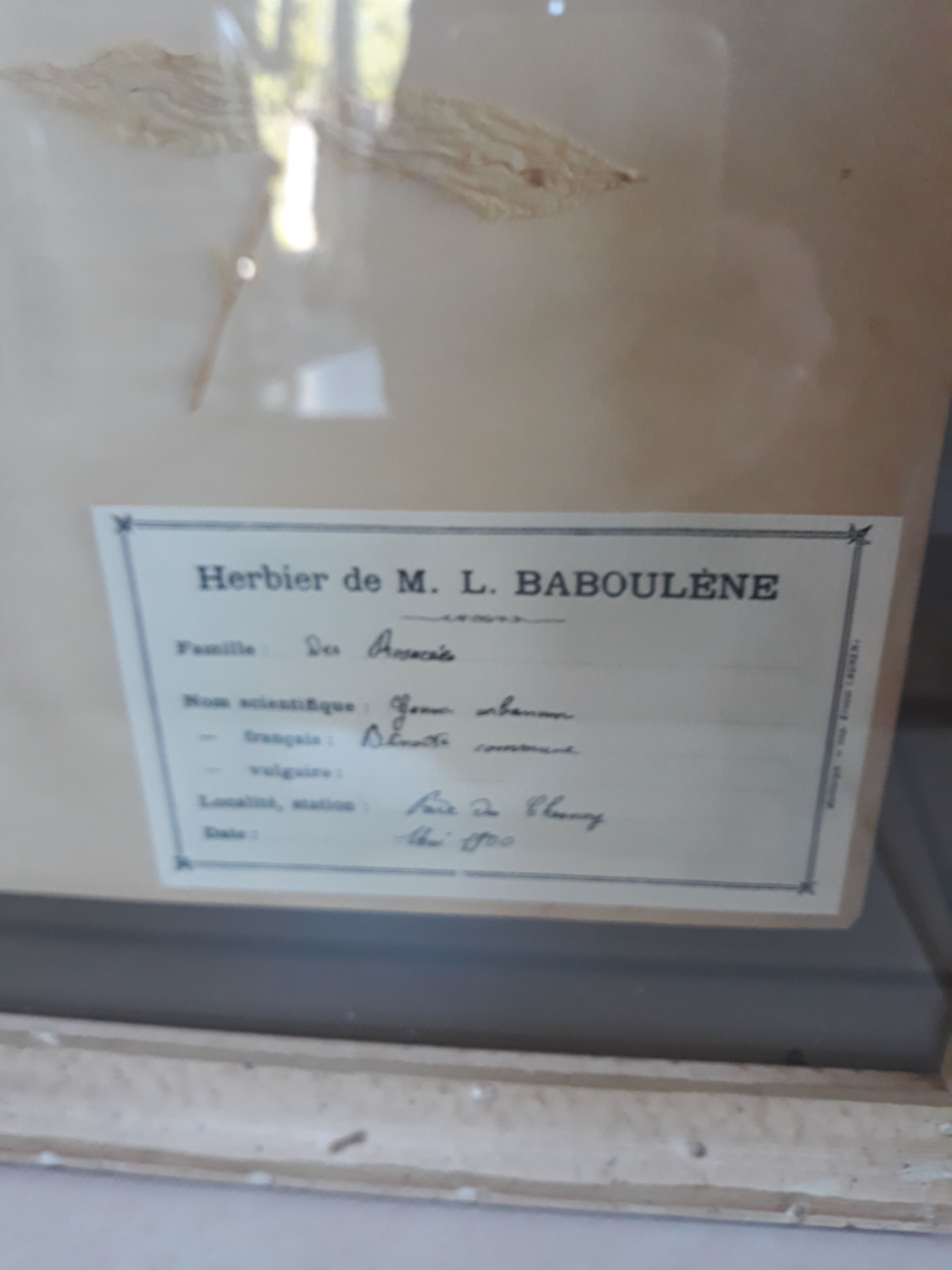 Set of 3 seagrass boxes M L Baboulene dating back to 1900