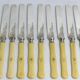 12 fruit knives, dessert knives, serving knives, engraved silver blades.
