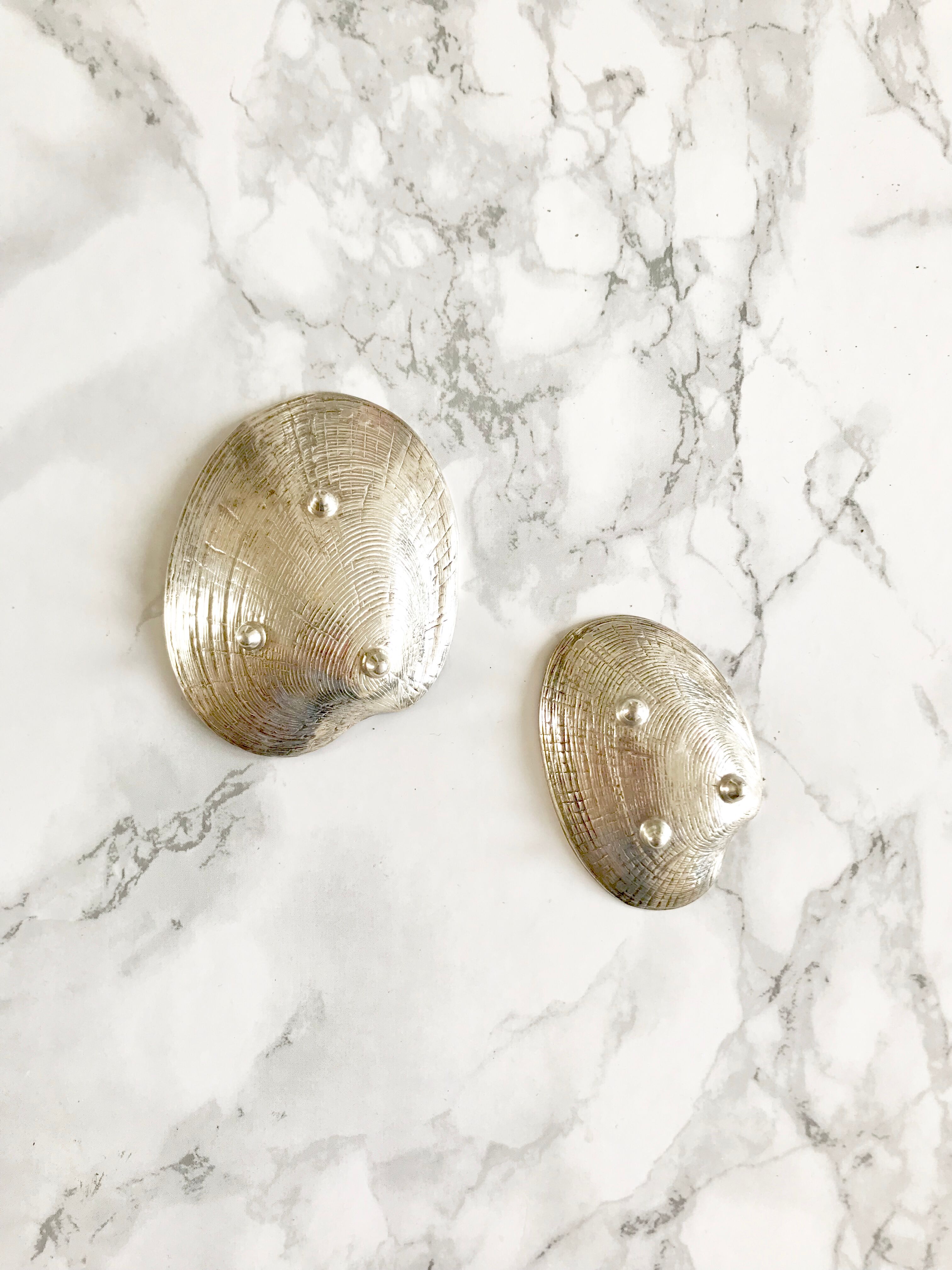 Two shells in silver