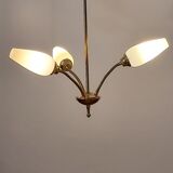 Suspension years 50-60