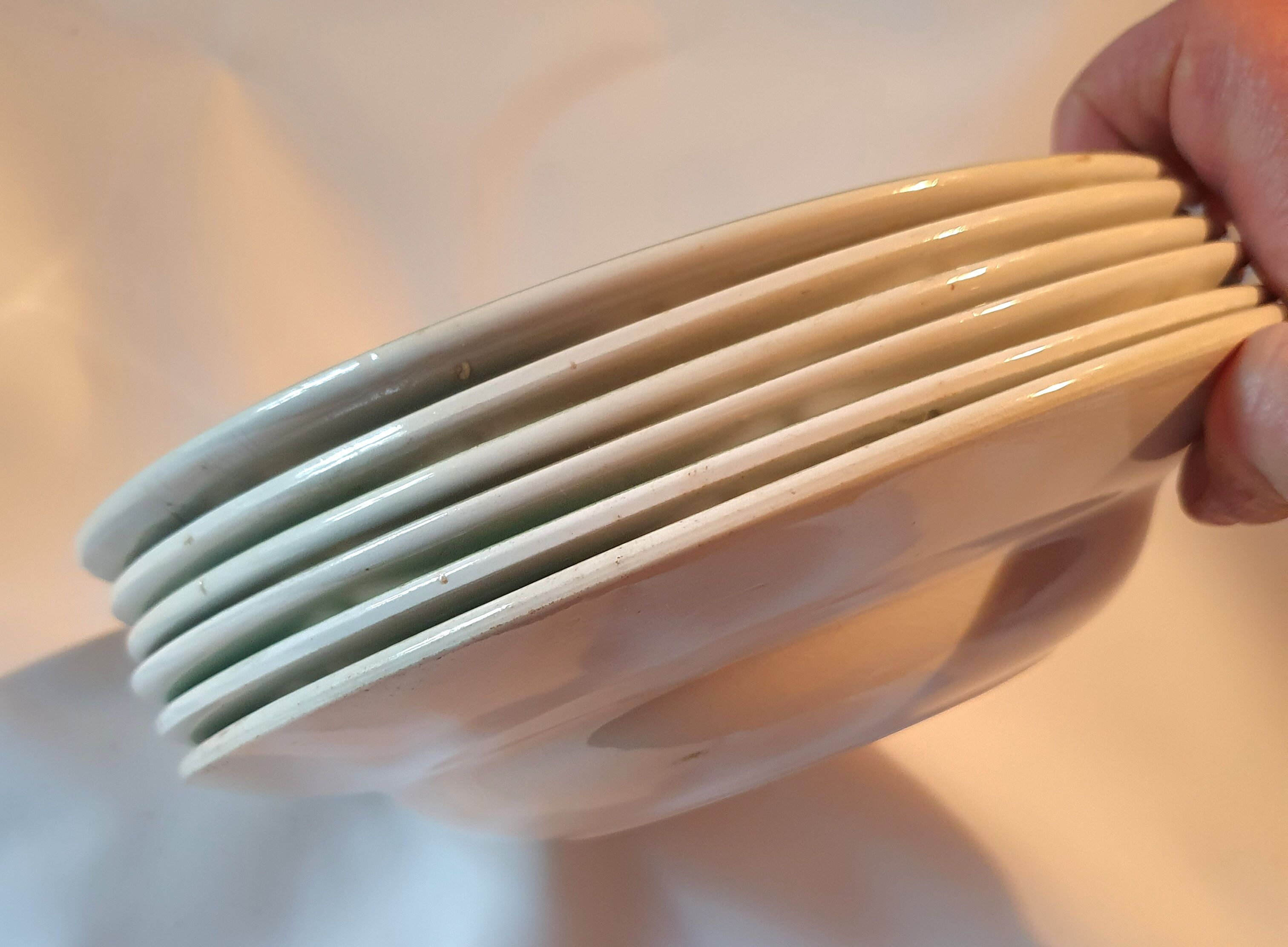 6 hollow plates in faience decor red pinks and green leaves
