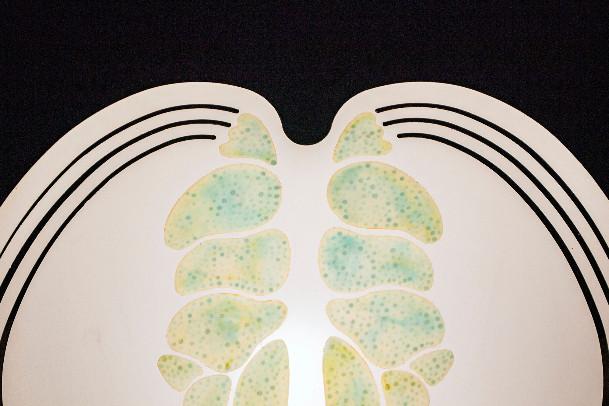 Wall lamp Ferdi Giardini  model Cobra Pezzo Unico Italy 2008