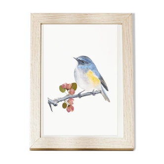 Fine art print of the watercolor "The Red-sided Nightingale"