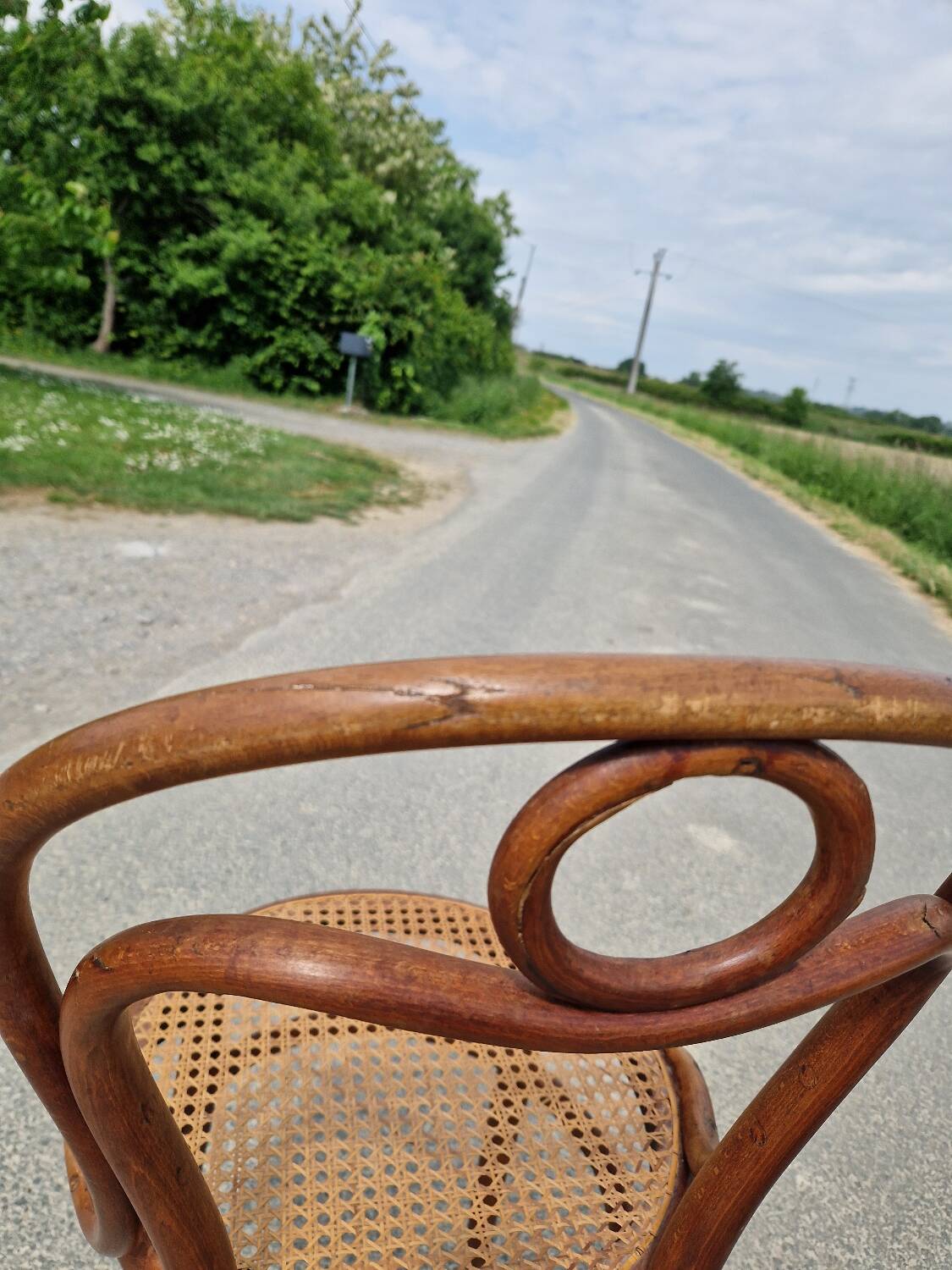Curved wooden chair n31 from Thonet 1900