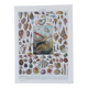 Journey to the Heart of Molluscs, illustrated plate and ancestral techniques