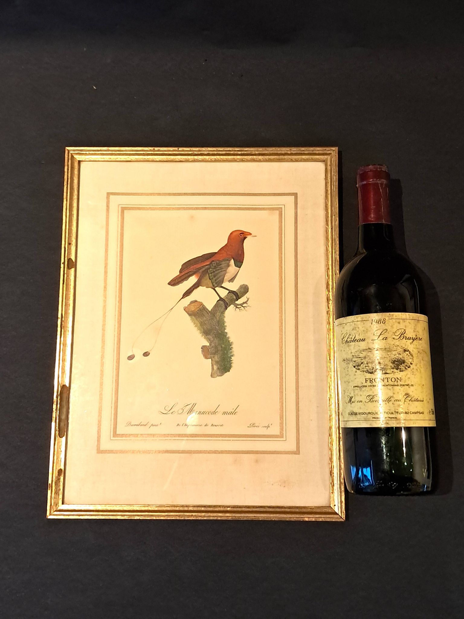 Trois Impressions D’oiseaux Tropicaux Par Barraband