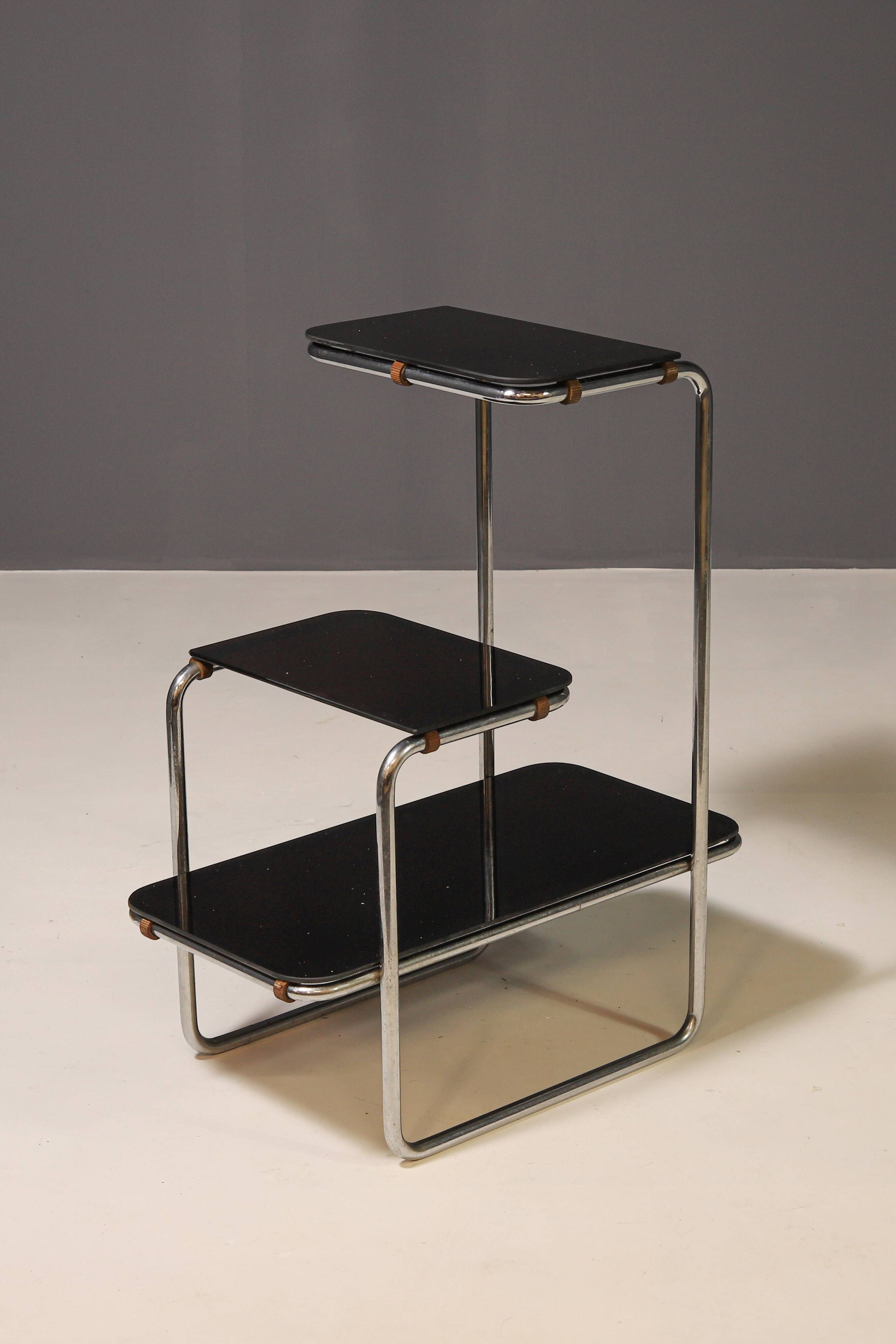 Functionalist Étagère B8 by Anton Lorenz for Slezák company, 1930s–1940s