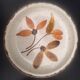 6 Assiettes vintage 70's Gien
