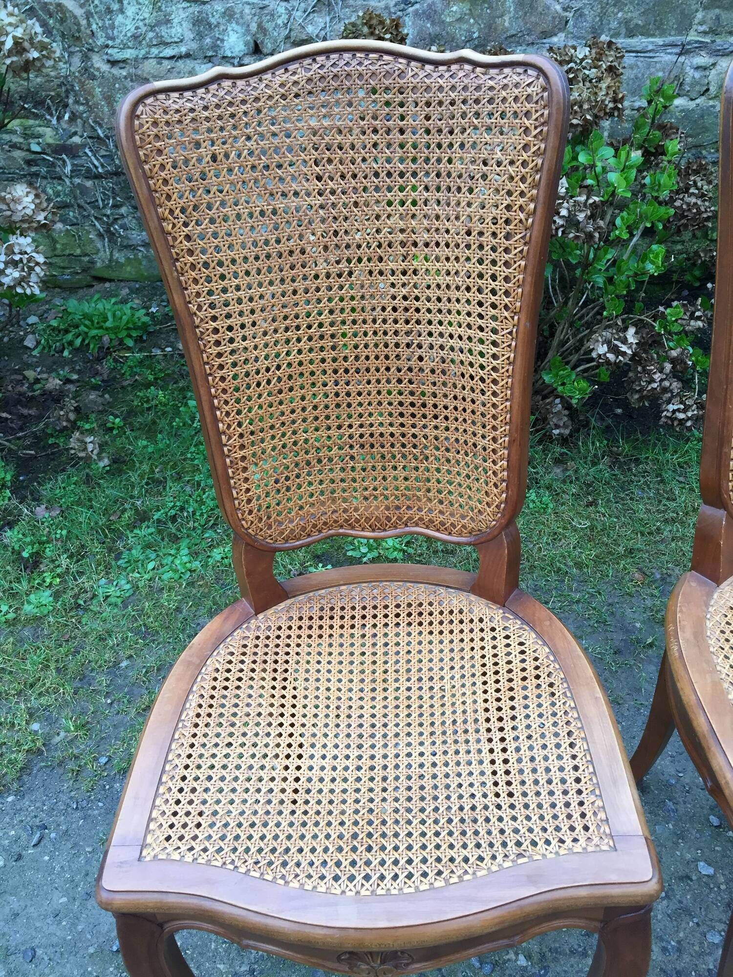 Vintage regency cherry chairs with canned backrests and seats