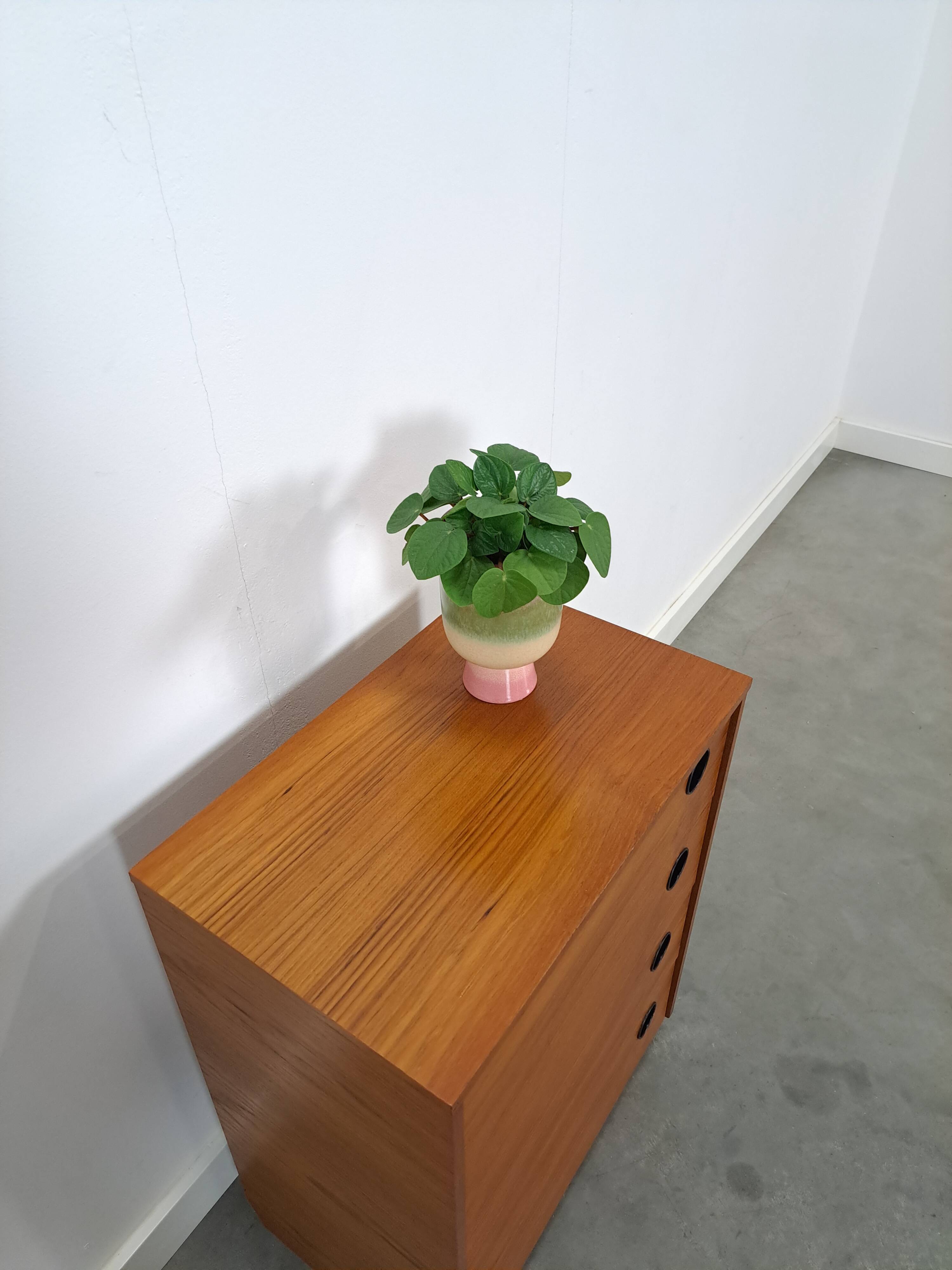 Schoenenkast met zwarte ronde grepen, nr. 2