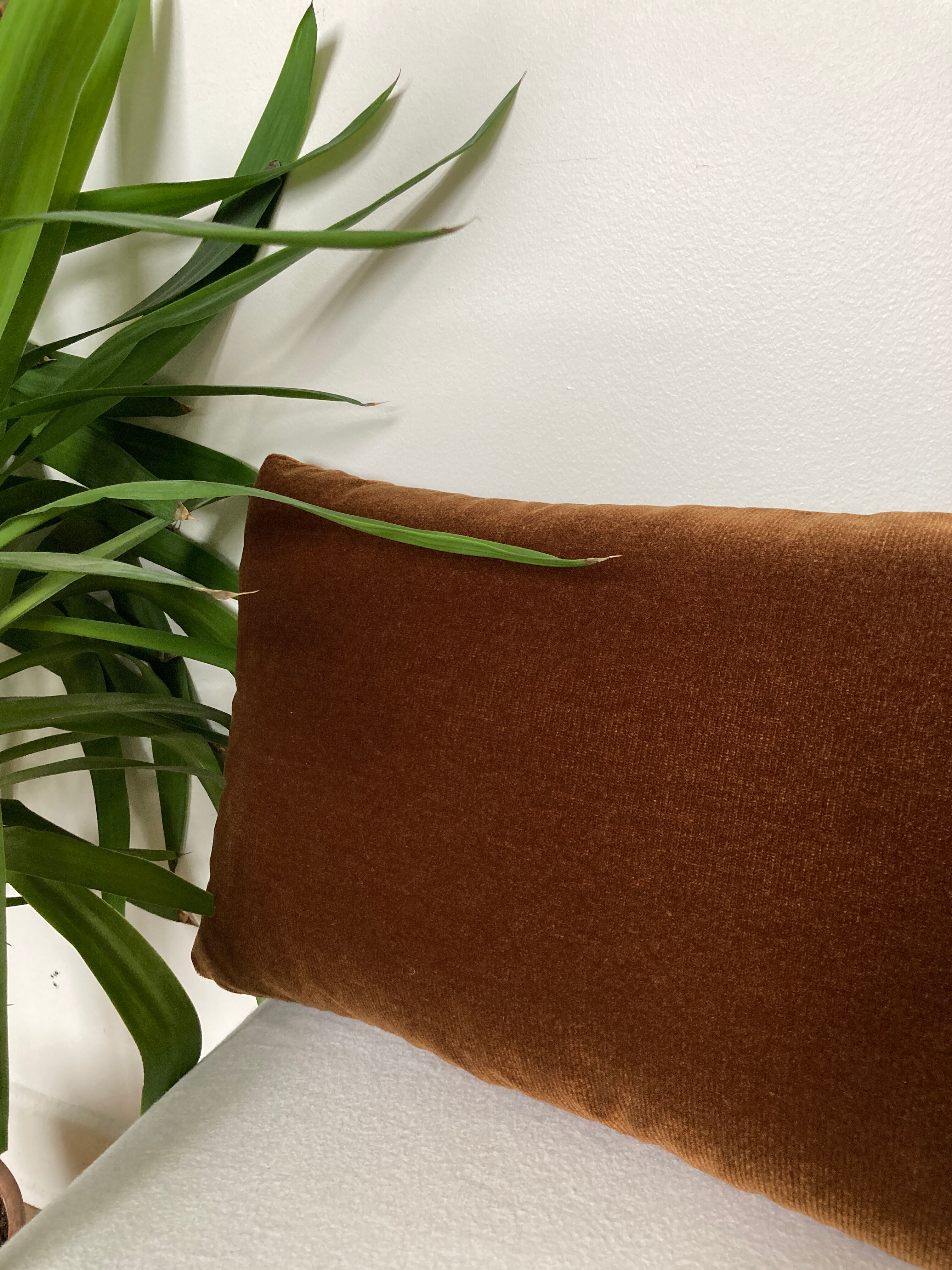 Plain cushion brown chocolate golden reflections