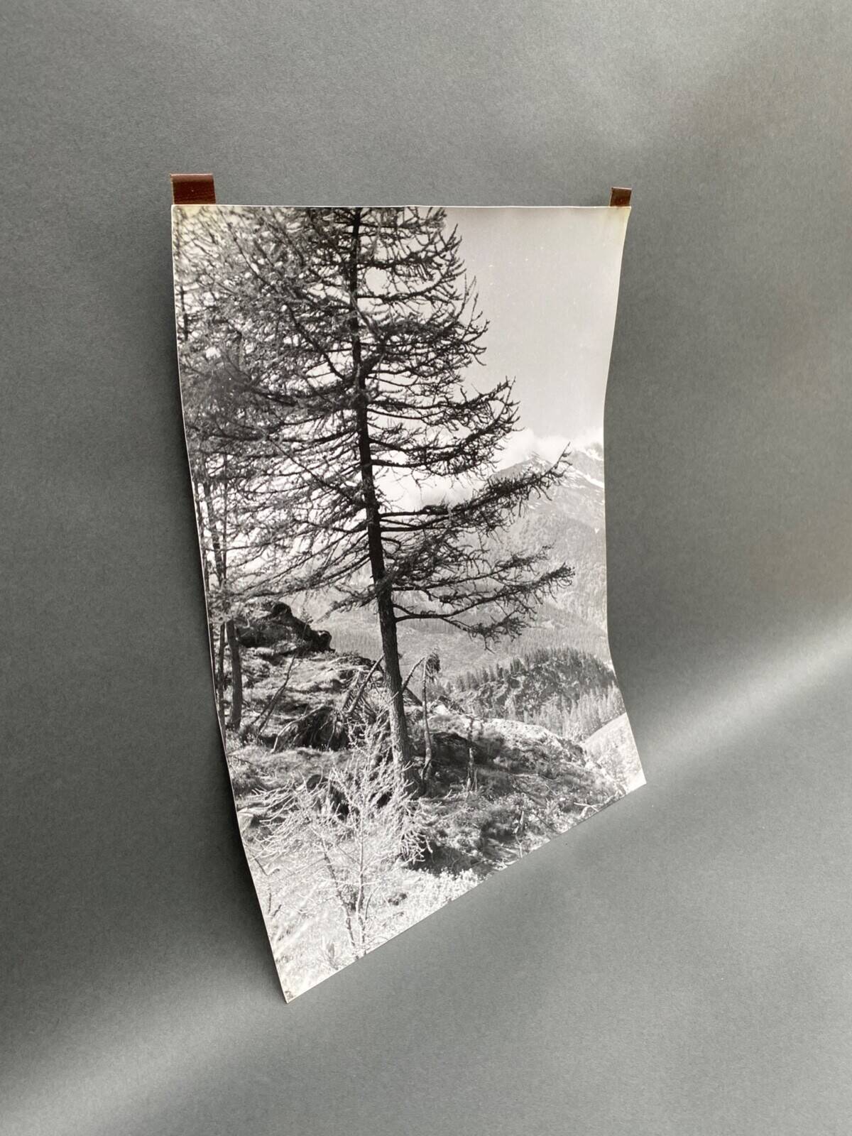 Bernard Darot silver gelatin photograph of a 20th-century mountain landscape