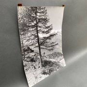 Bernard Darot silver gelatin photograph of a 20th-century mountain landscape