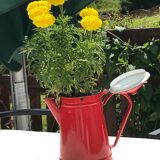 Red enamelled sheet metal coffee maker