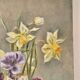 Tableau ancien floral