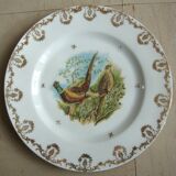 6 Limoges porcelain plates