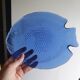 Arcoroc fish plates