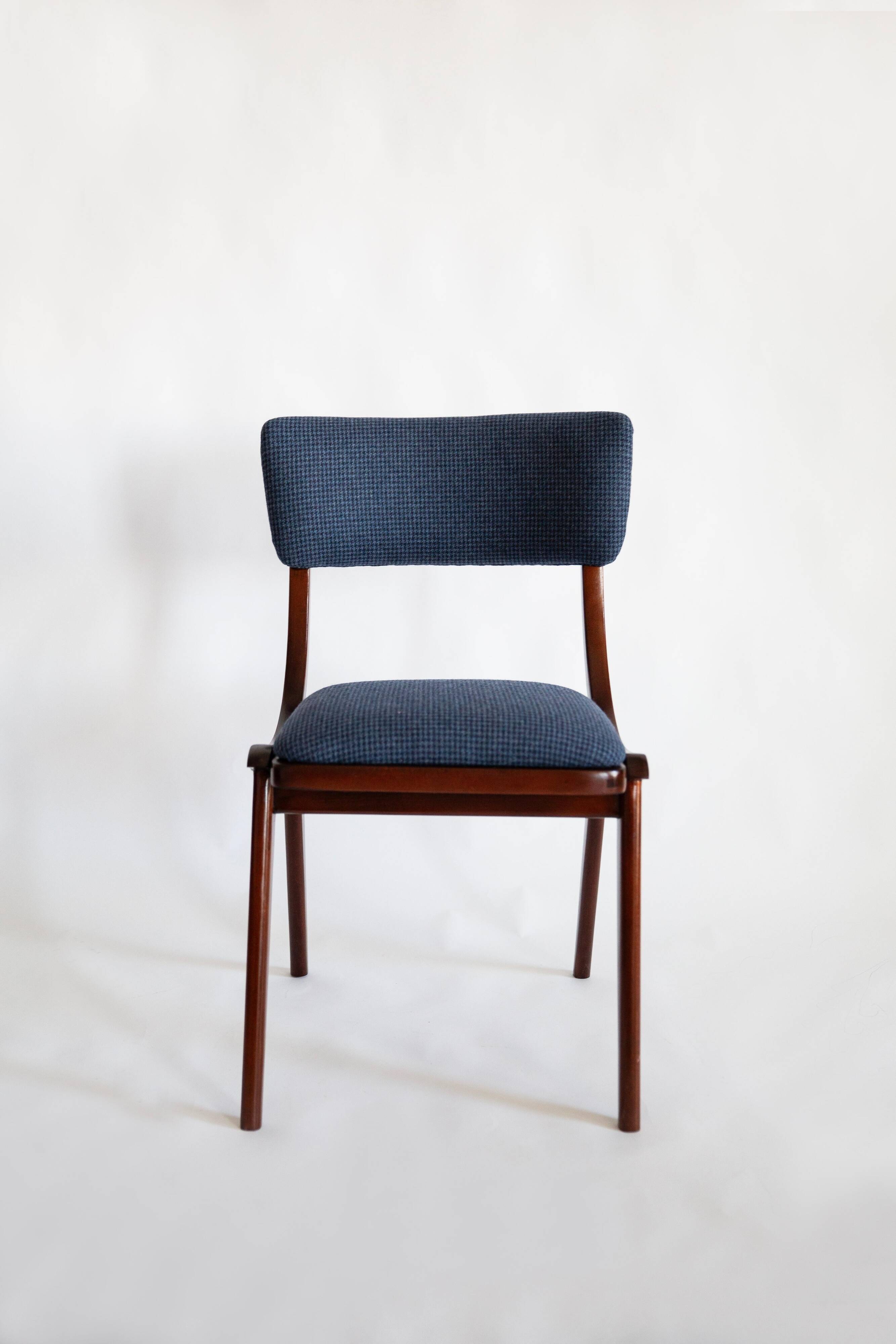 Bumerang Chair Mid-Century Modern, Navy Check Wool, Poland, 1960s